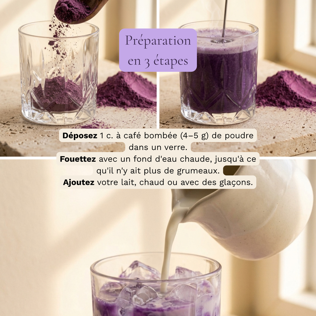 Ube Barista - Poudre d'Ube 100% pure