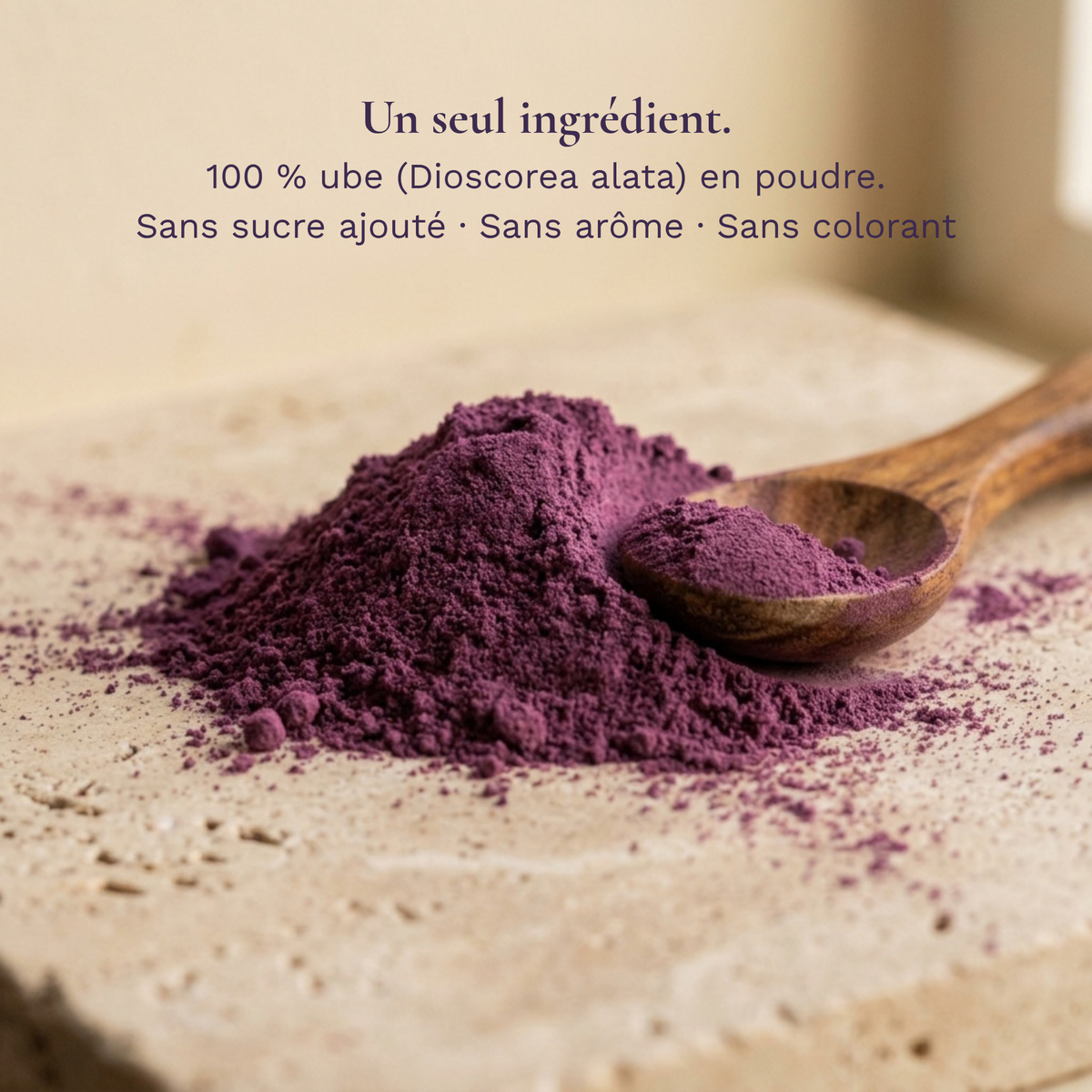 Ube Barista - Poudre d'Ube 100% pure